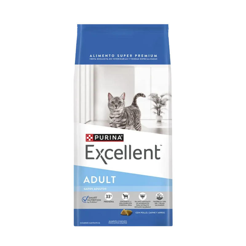 excellent-gato-adulto