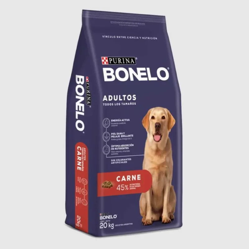 bonelo-perro-adulto