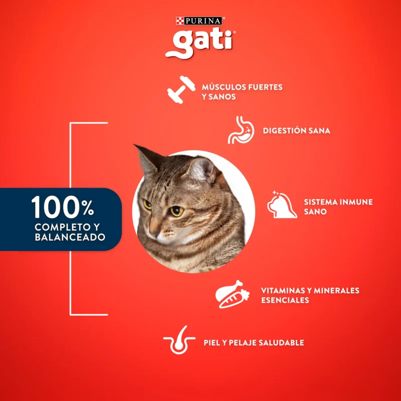 gati-2